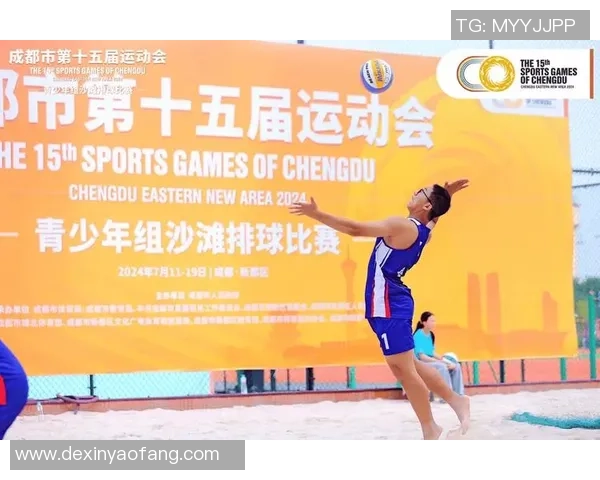 成都排球队的节奏解析与深度剖析全面解读排球运动的魅力与技巧