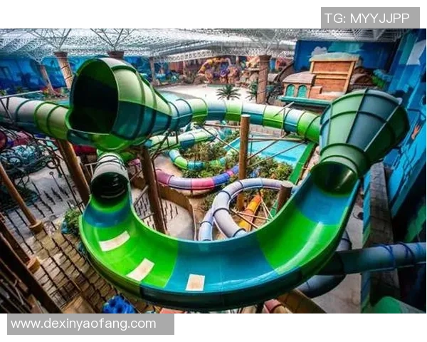 杭州篮球队的极速风暴揭秘：速度与激情的完美结合