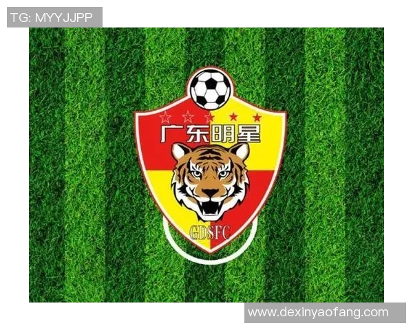 深圳足球队实力解析：大满贯点评揭示球队潜力与挑战